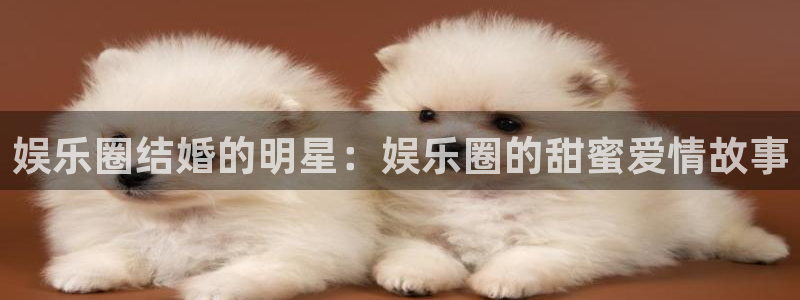 盛煌平台4登录：娱乐圈结婚的明星：娱乐圈的甜蜜爱情故事