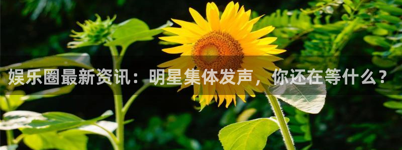 盛煌平台苹果手机下载链接：娱乐圈最新资讯：明星集体发声，你还在等什么？