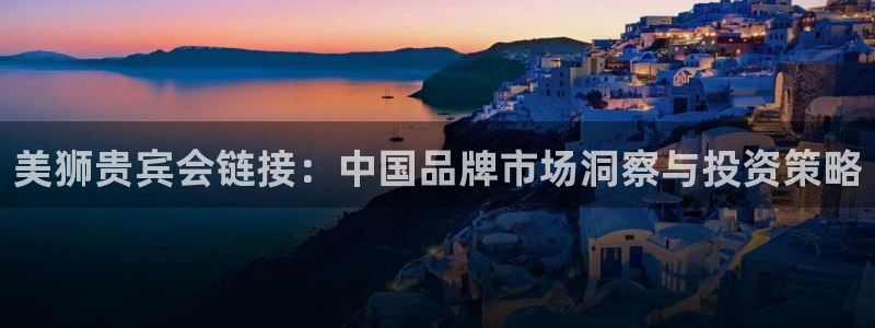 东莞市盛煌平台电子科技有限公司：美狮贵宾会链接：中国品牌市场洞察与投资策略