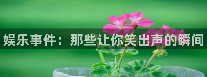 盛煌平台平台下载入口：娱乐事件：那些让你笑出声的瞬间