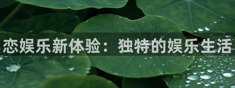 盛煌平台登录网：恋娱乐新体验：独特的娱乐生活
