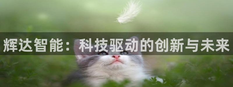 盛煌平台3：辉达智能：科技驱动的创新与未来