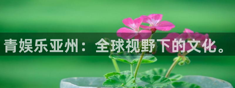 盛煌平台电子游戏网页版：青娱乐亚州：全球视野下的文化。