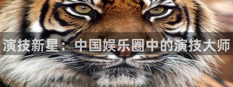 盛煌平台.com：演技新星：中国娱乐圈中的演技大师