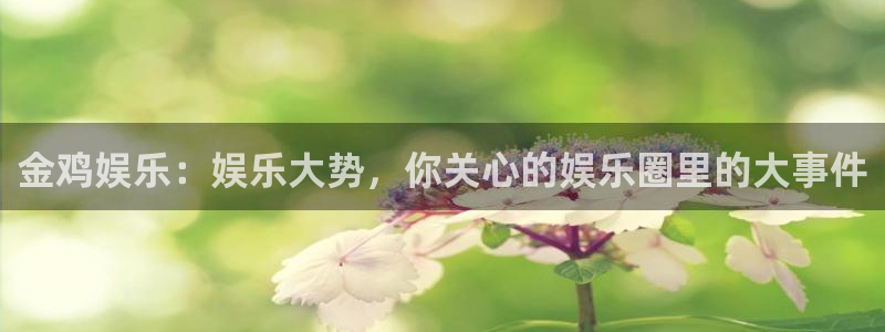 盛煌平台体育注册：金鸡娱乐：娱乐大势，你关心的娱乐圈里的大事件