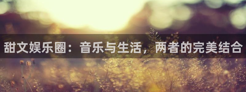 盛煌平台4开户：甜文娱乐圈：音乐与生活，两者的完美结合