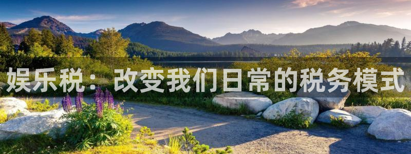 盛煌平台体育凯捷平台主管：娱乐税：改变我们日常的税务模式