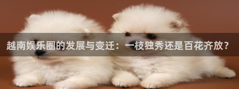 盛煌平台体育代理：越南娱乐圈的发展与变迁：一枝独秀还是百花齐放？