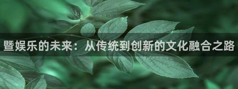 盛煌平台3：暨娱乐的未来：从传统到创新的文化融合之路