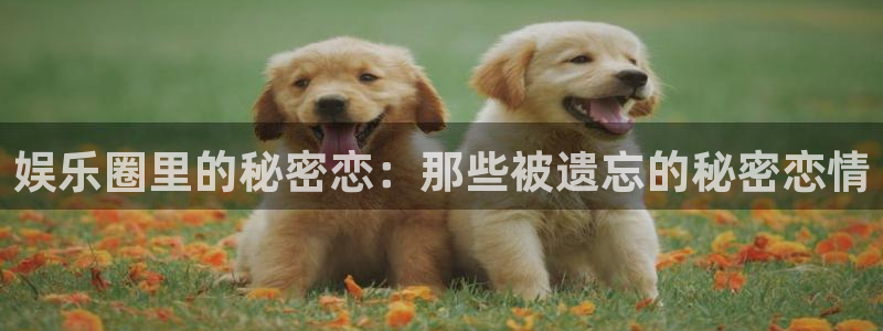 盛煌平台5招商：娱乐圈里的秘密恋：那些被遗忘的秘密恋情