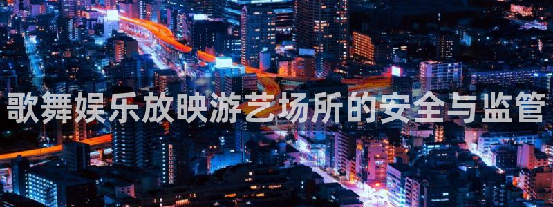 盛煌平台电子游戏：歌舞娱乐放映游艺场所的安全与监管