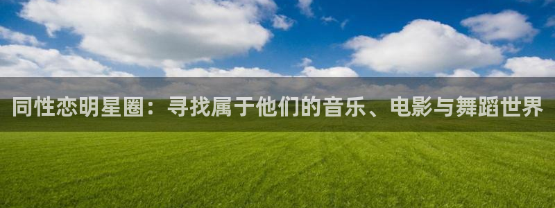 盛煌平台主管：同性恋明星圈：寻找属于他们的音乐、电影与舞蹈世界