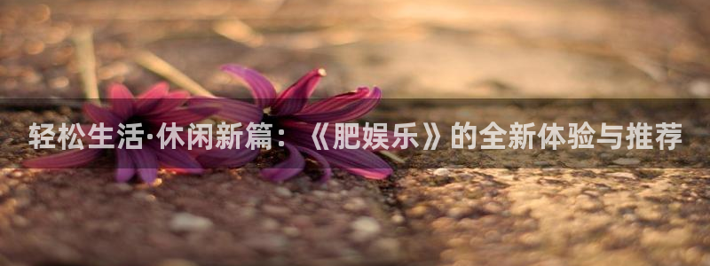 盛煌平台是什么：轻松生活·休闲新篇：《肥娱乐》的全新体验与推荐