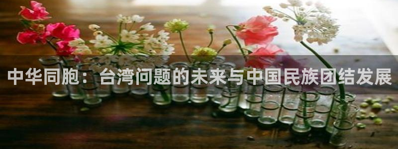 盛煌平台体育eon：中华同胞：台湾问题的未来与中国民族团结发展