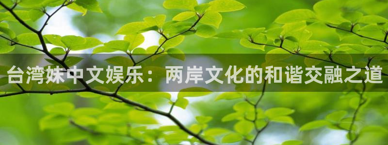 盛煌平台pg：台湾妹中文娱乐：两岸文化的和谐交融之道