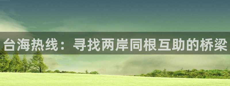 盛煌平台手机版下载：台海热线：寻找两岸同根互助的桥梁