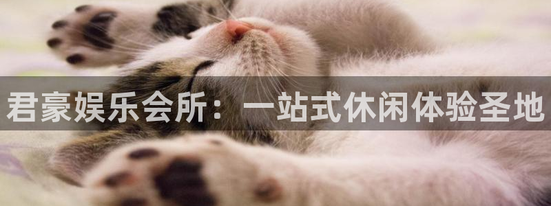 盛煌平台手机版下载：君豪娱乐会所：一站式休闲体验圣地