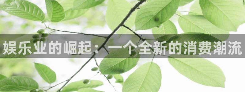 盛煌平台下载链接是多少：娱乐业的崛起：一个全新的消费潮流