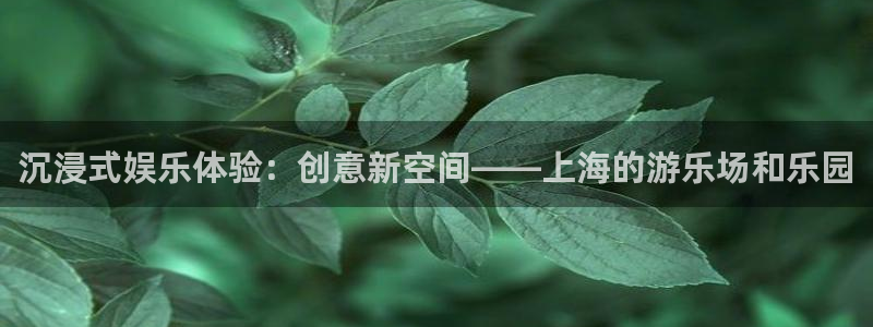 盛煌平台体育凯捷平台招商：沉浸式娱乐体验：创意新空间——上海的游乐场和乐园
