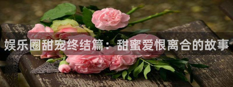 盛煌平台2平台注册：娱乐圈甜宠终结篇：甜蜜爱恨离合的故事